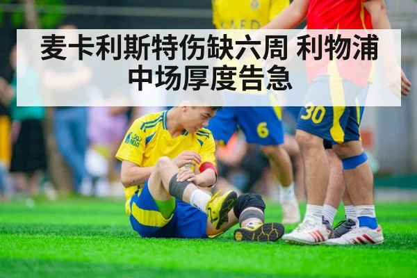 麦卡利斯特伤缺六周 利物浦中场厚度告急